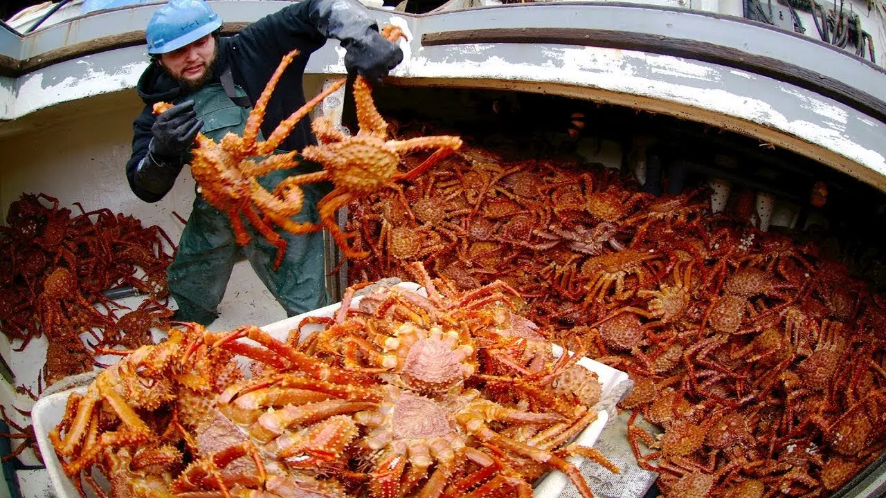 Sea Crab Fishermen's Tour