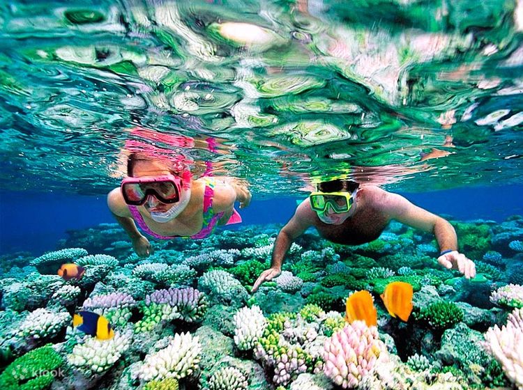 Koh Rong Samloem Snorkeling And Diving Experience From Sihanoukville,  Cambodia - Klook India