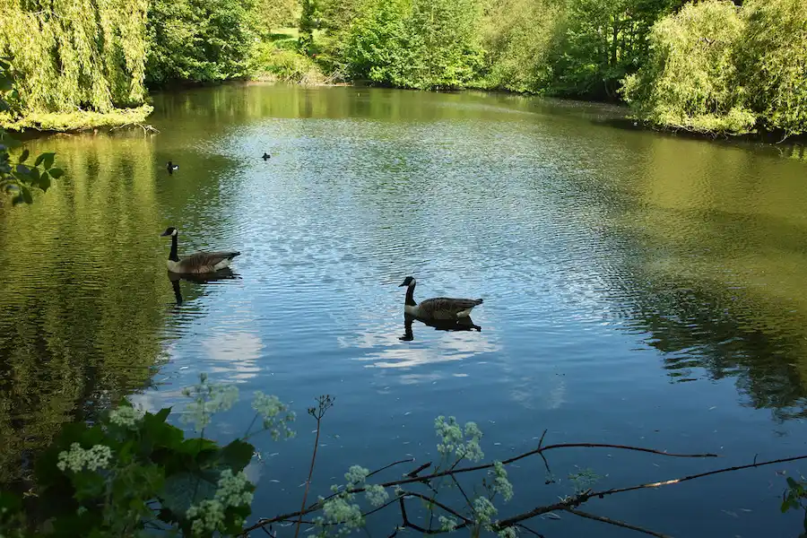 Waterlow Park