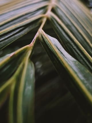 Stories