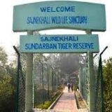 Top 5 Places To Visit In Sundarbans