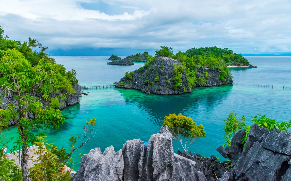 The Indonesian Island Of Sulawesi Is An Evolutionary Puzzle | Discover  Magazine