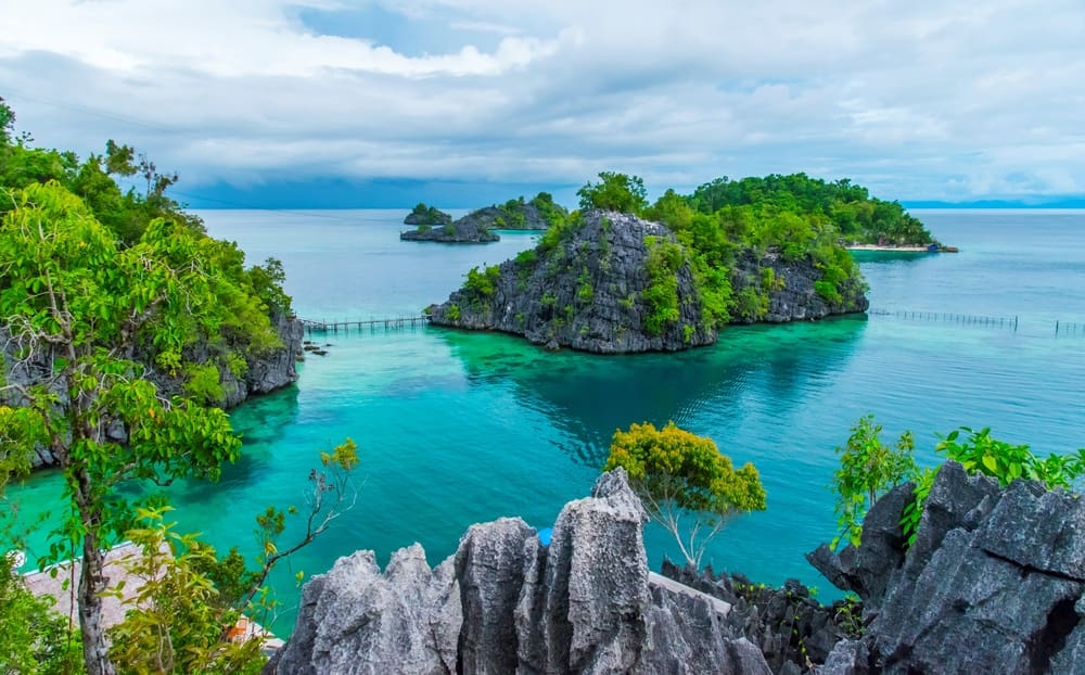 The Indonesian Island Of Sulawesi Is An Evolutionary Puzzle | Discover Magazine