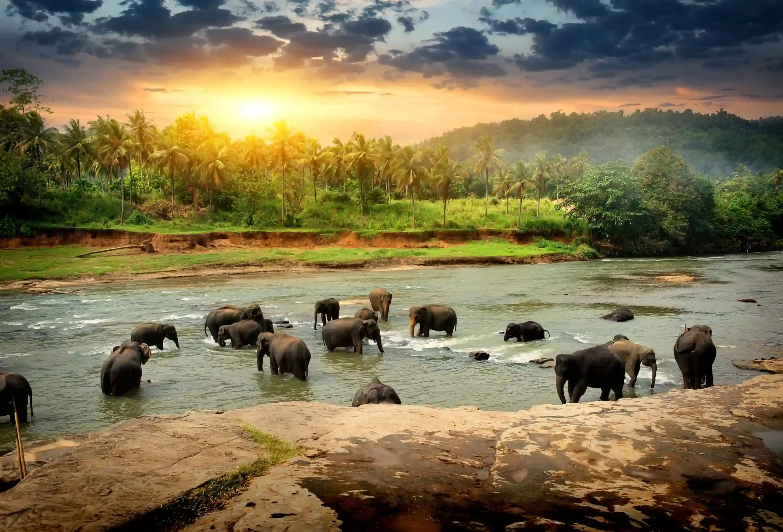 Visit Sri Lanka Instead Of India