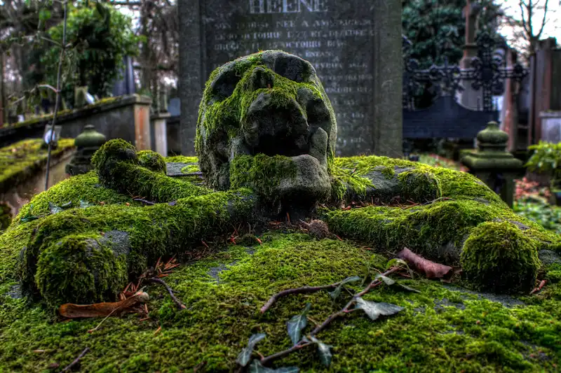 Tête De Mort