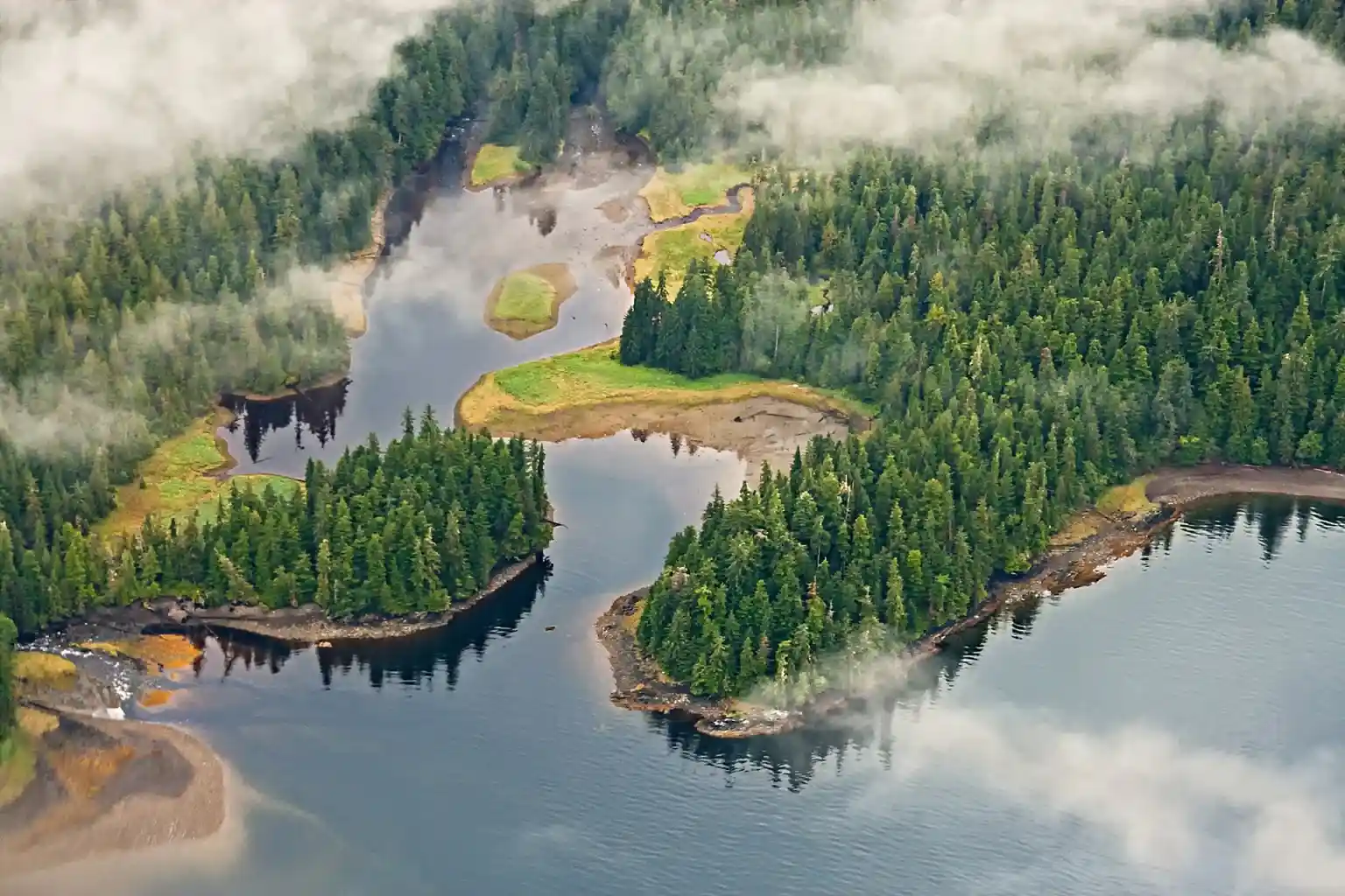 Tongass Misty Rainforest Aerials