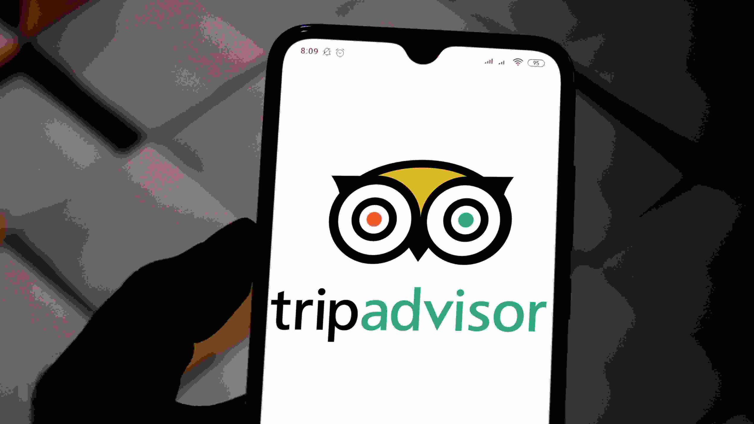 Traveling By Yourself Using Tripadvisor-Travelistia