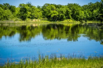Things To Do In Sherman Tx