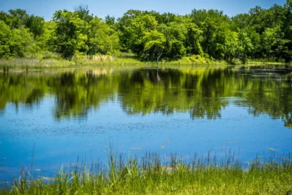 Things To Do In Sherman Tx