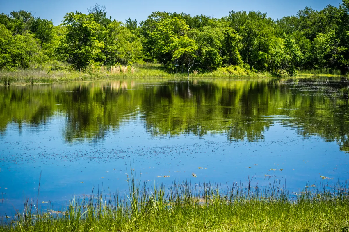 Things To Do In Sherman Tx