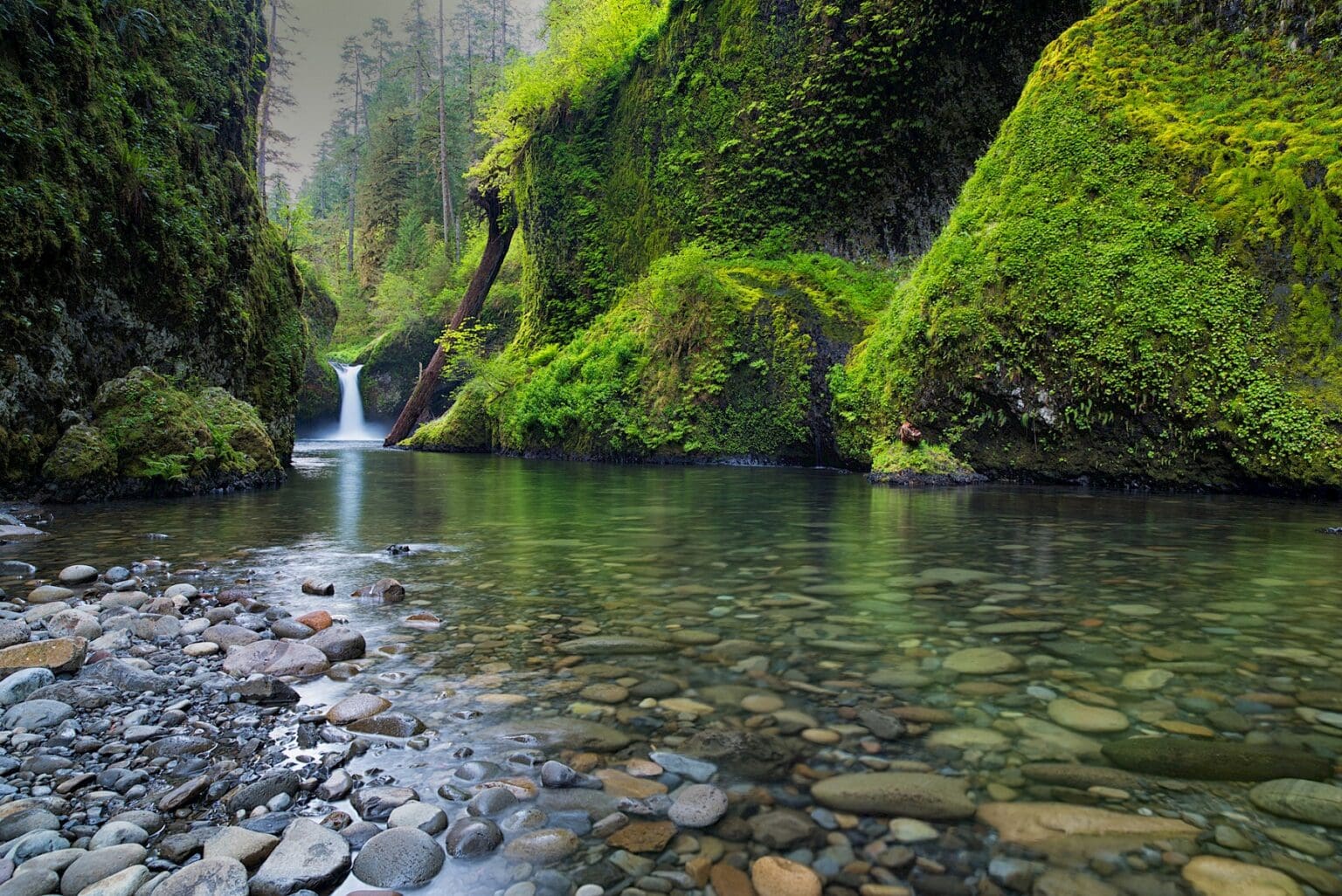 Adventure Awaits