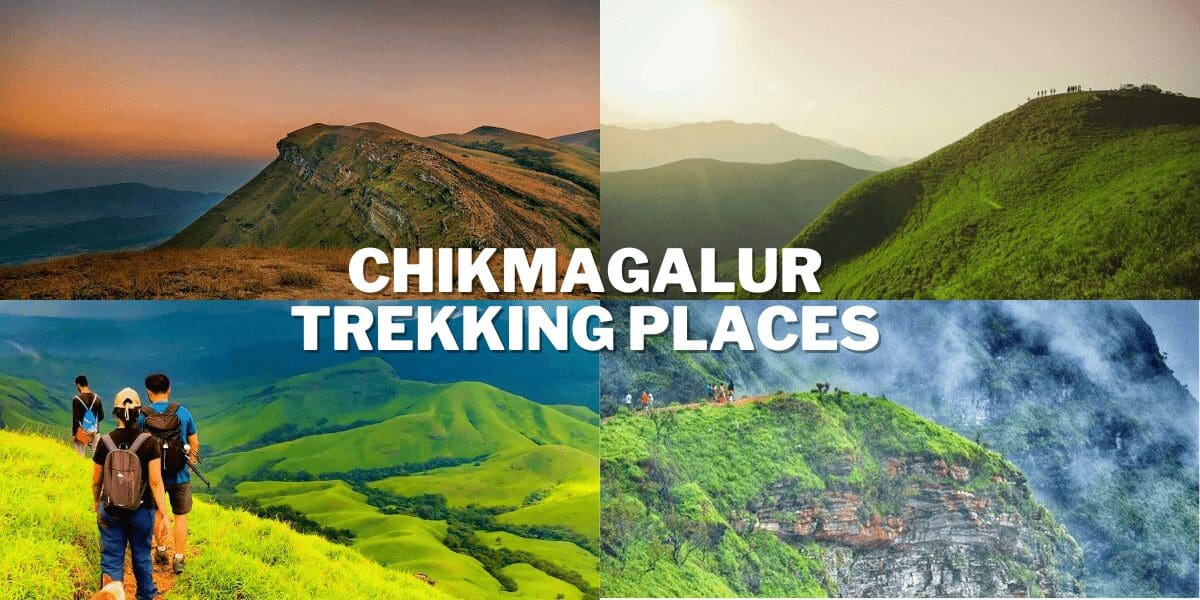 Top 5 Honeymoon Destinations In Karnataka 4 Chikmagalur