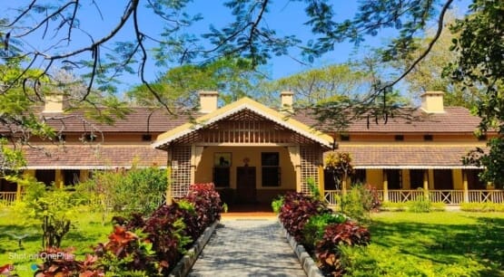 Best Jungle Resorts In Kabini